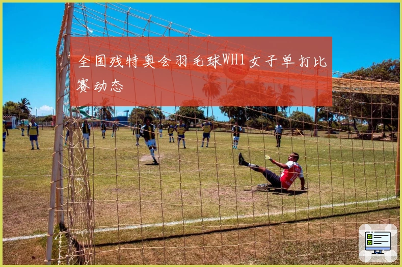 全国残特奥会羽毛球WH1女子单打比赛动态