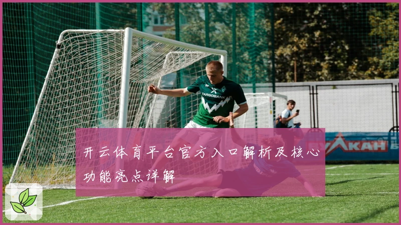开云体育平台官方入口解析及核心功能亮点详解
