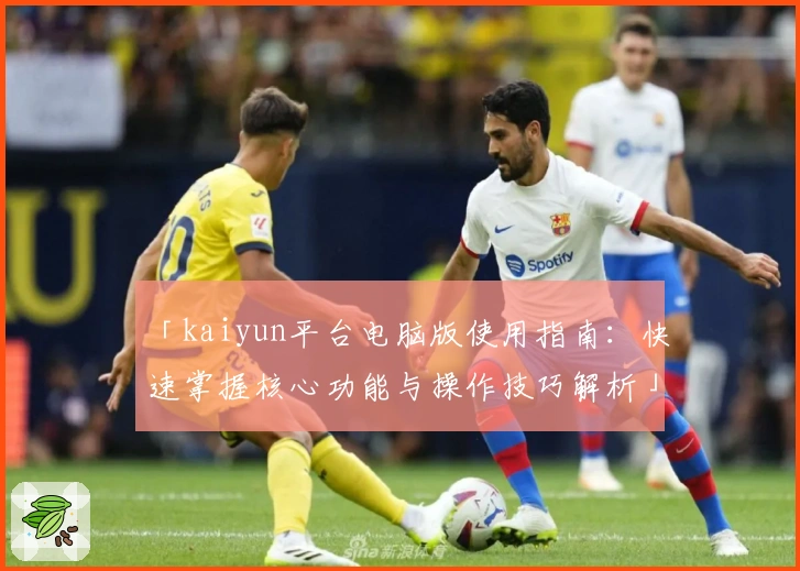 「kaiyun平台电脑版使用指南：快速掌握核心功能与操作技巧解析」