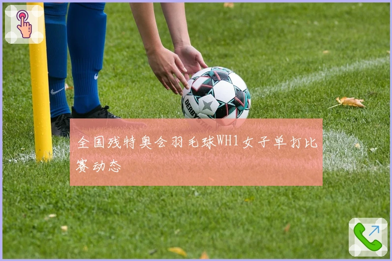 全国残特奥会羽毛球WH1女子单打比赛动态