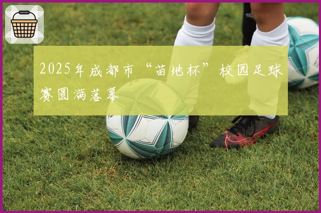 2025年成都市“苗地杯”校园足球赛圆满落幕