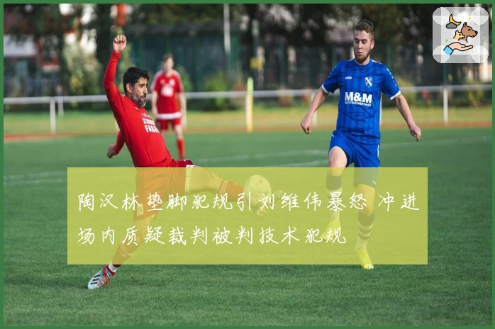 陶汉林垫脚犯规引刘维伟暴怒 冲进场内质疑裁判被判技术犯规